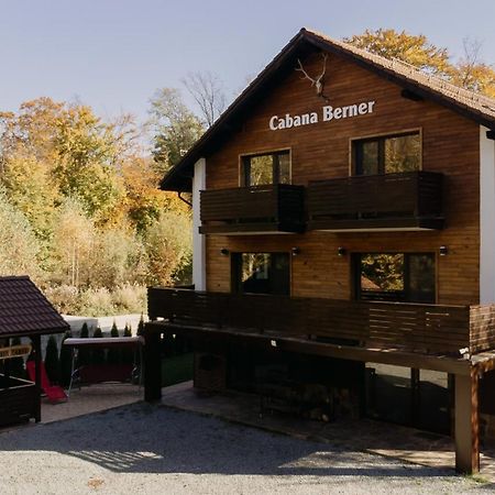 Cabana Berner Statiunea Mogosa Baia-Sprie Ngoại thất bức ảnh